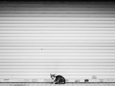 Openslaande garagedeuren kopen
